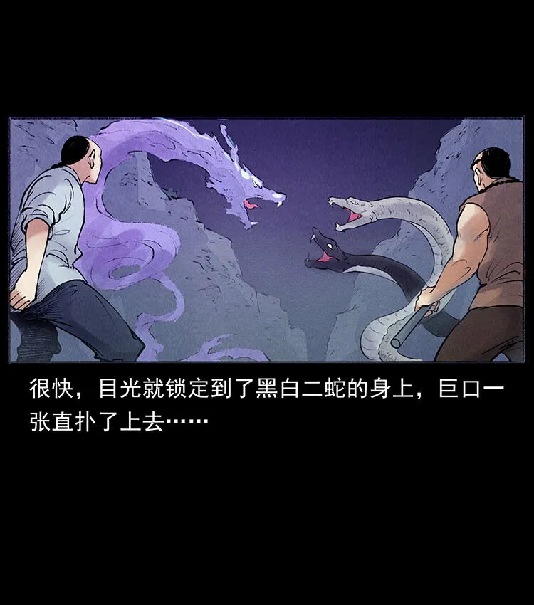 外传 洛生传7 黑白双蛇 第86页