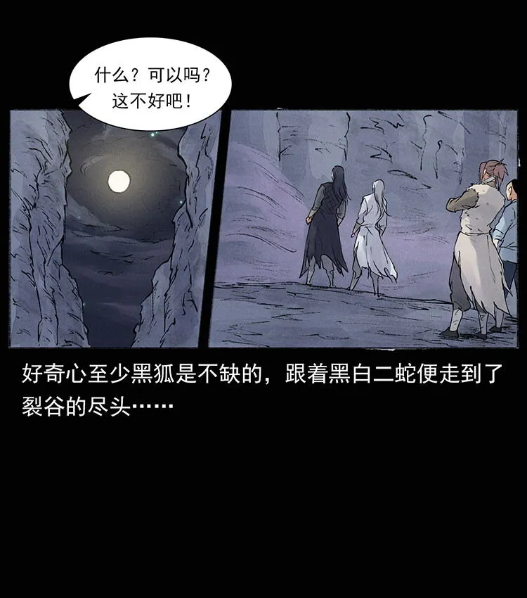 外传 洛生传8 封毒 第71页