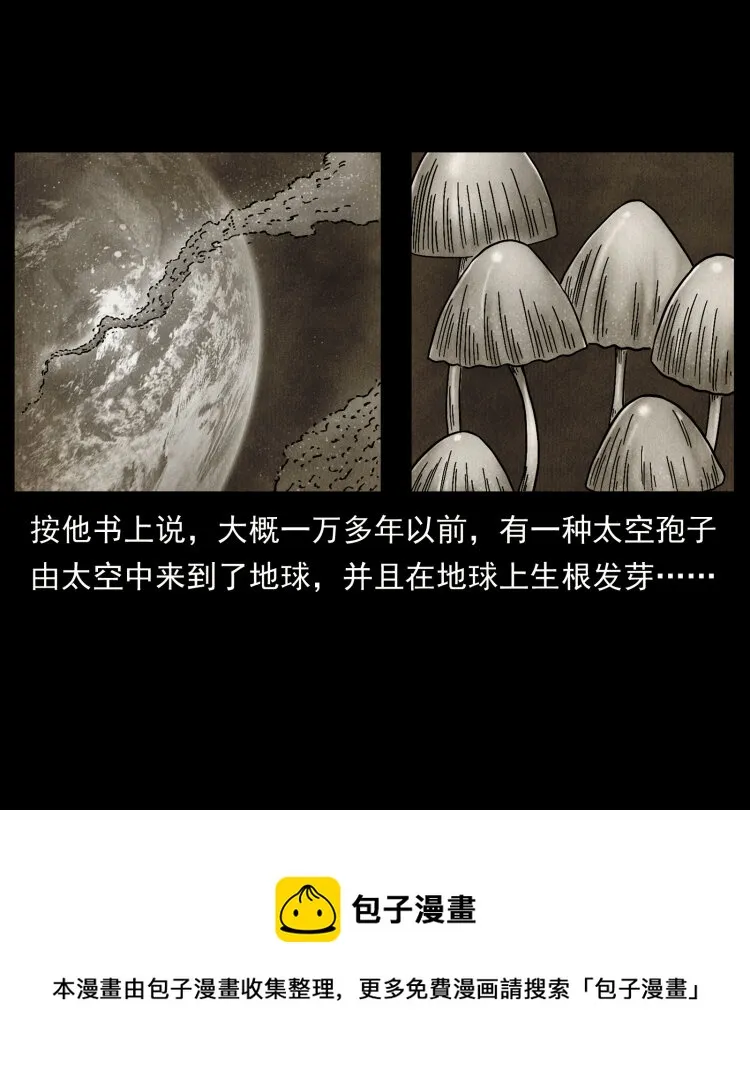 460 你才是猴子变的！ 第25页