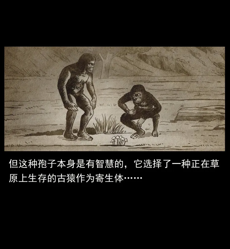 460 你才是猴子变的！ 第26页