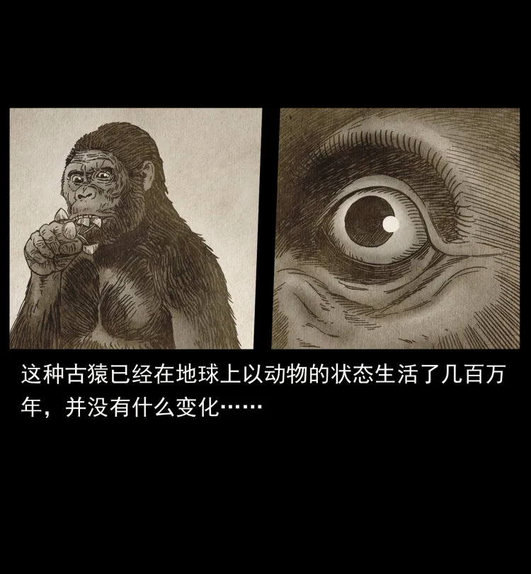 460 你才是猴子变的！ 第27页