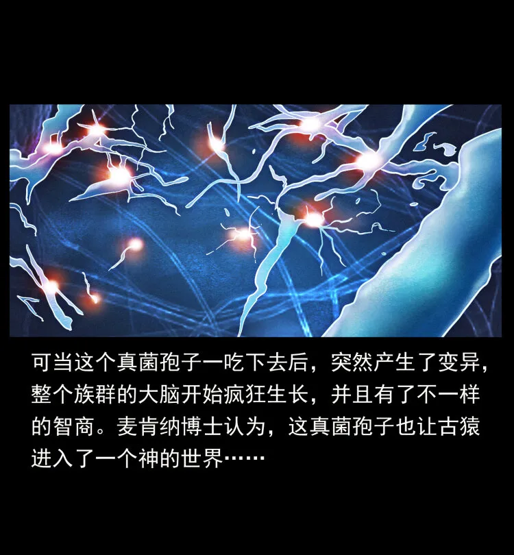 460 你才是猴子变的！ 第28页