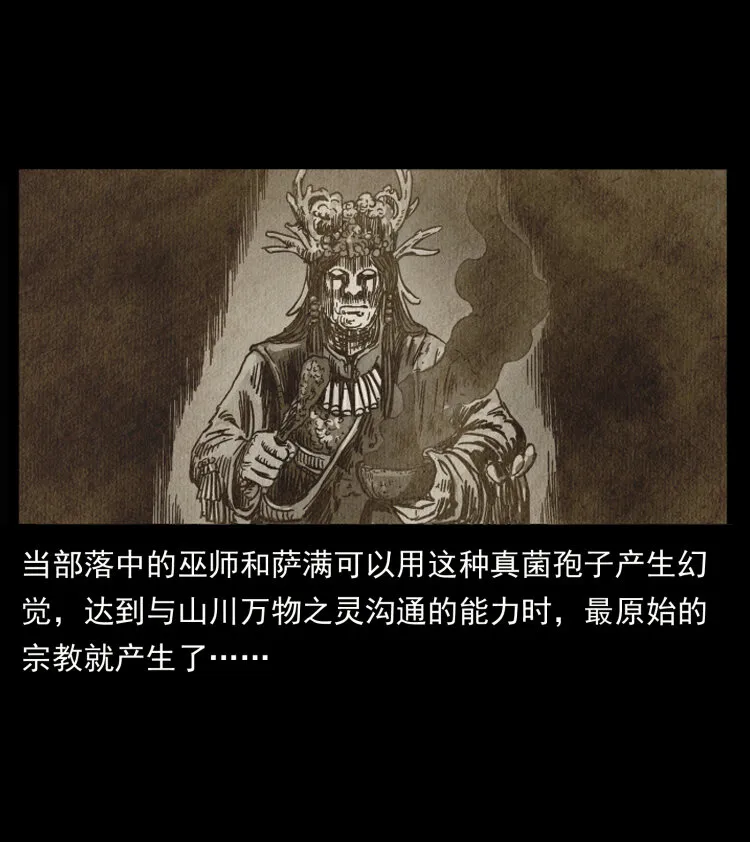 460 你才是猴子变的！ 第30页