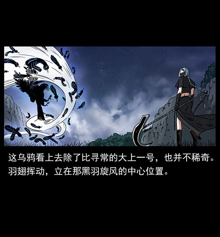 484 极地鸦族 第22页
