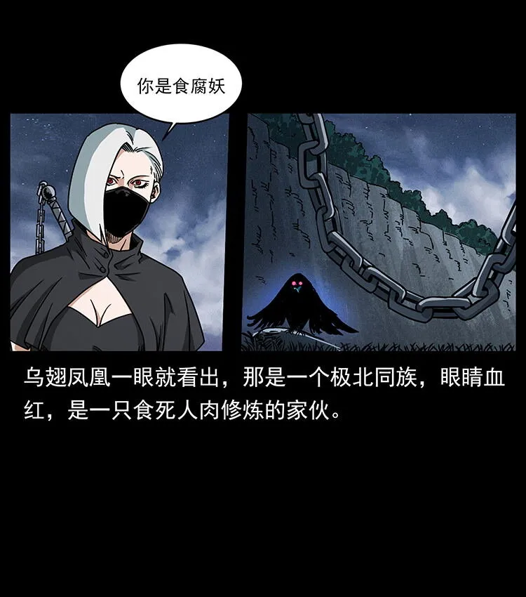 484 极地鸦族 第23页