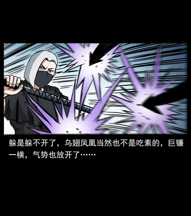 484 极地鸦族 第36页