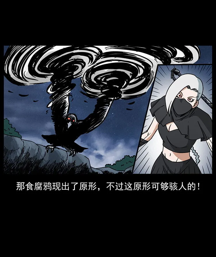 484 极地鸦族 第44页