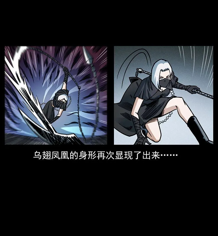 484 极地鸦族 第78页