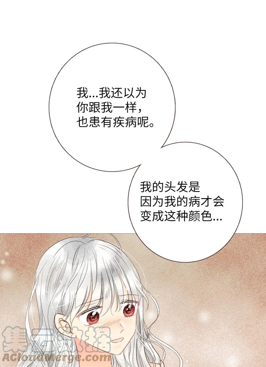 48 坦白 第37页