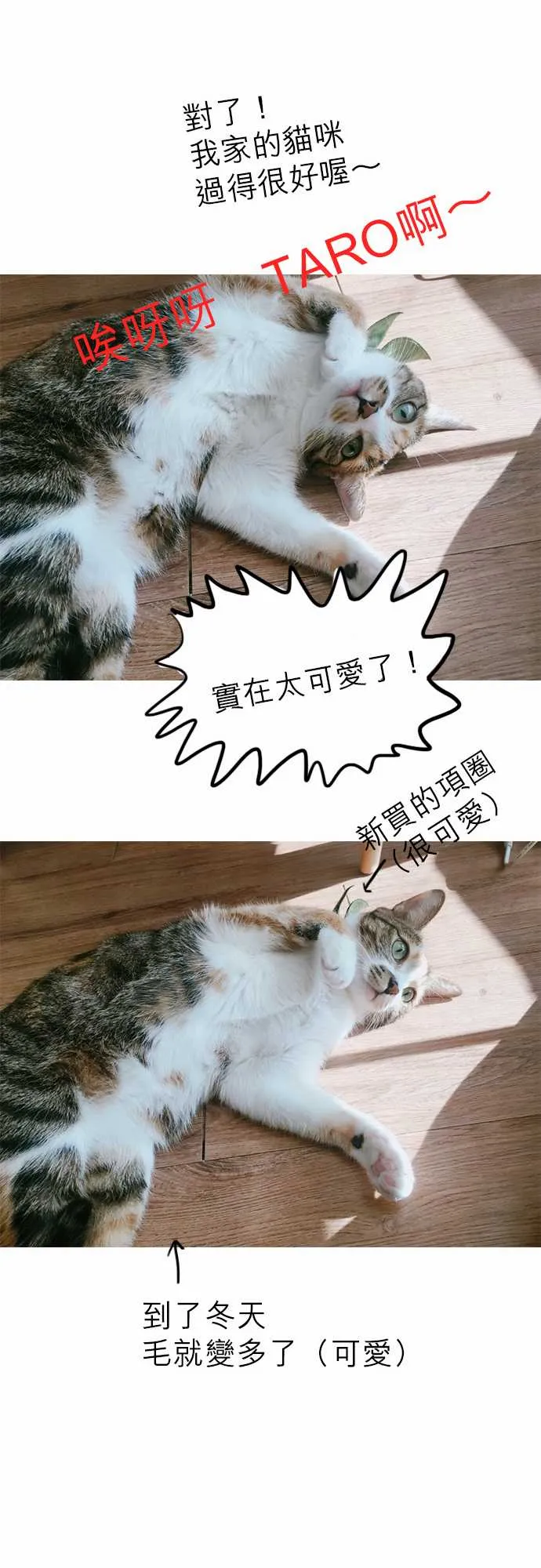 第73话 第19页