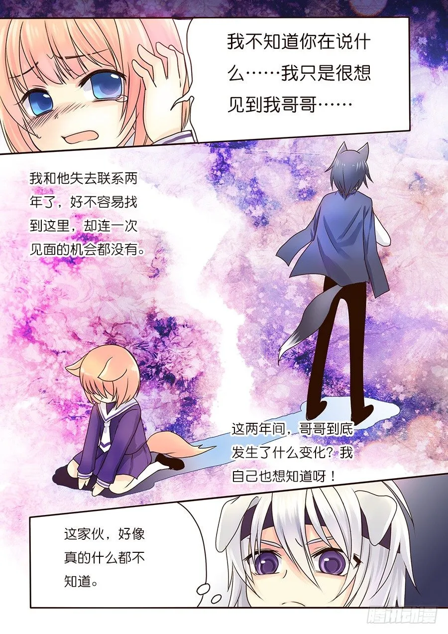 狐狸和狗，剑拔弩张？！ 第1页