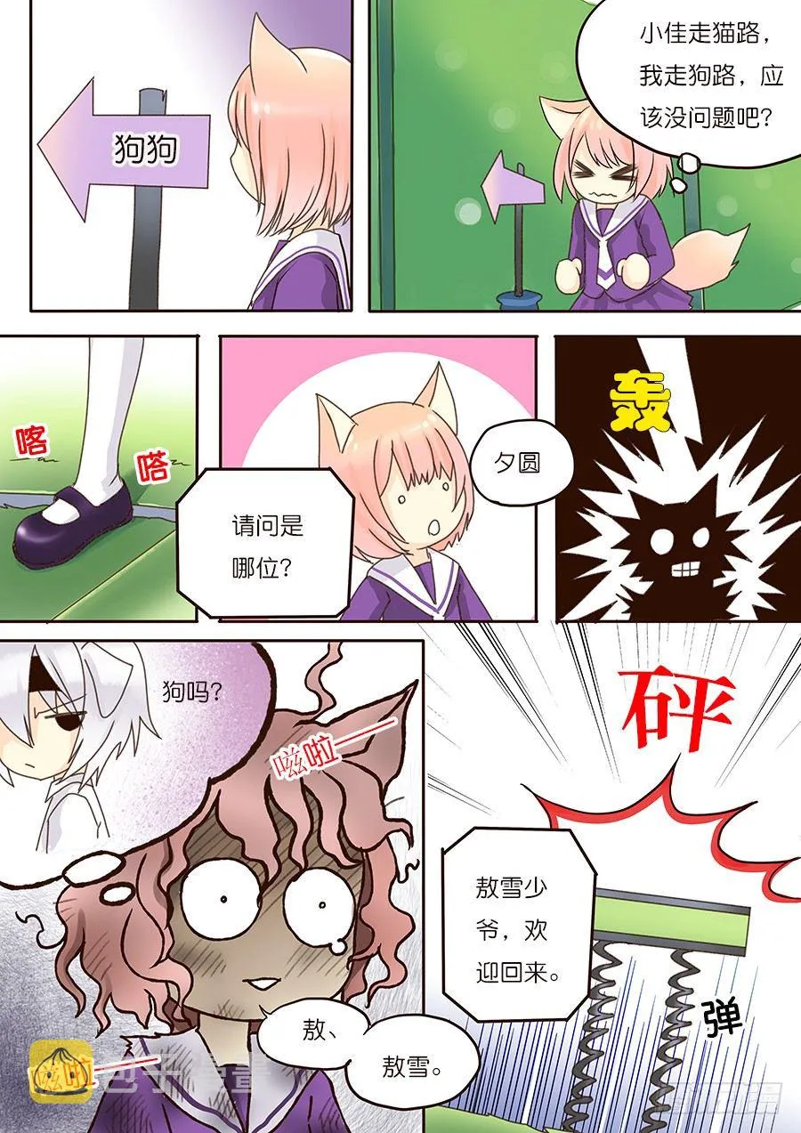 不讨厌，只是不喜欢！而已 第7页