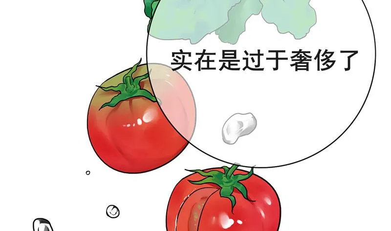 第三季 第291话 新母亲 第11页