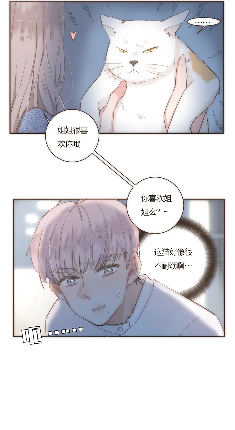 第63话 第19页