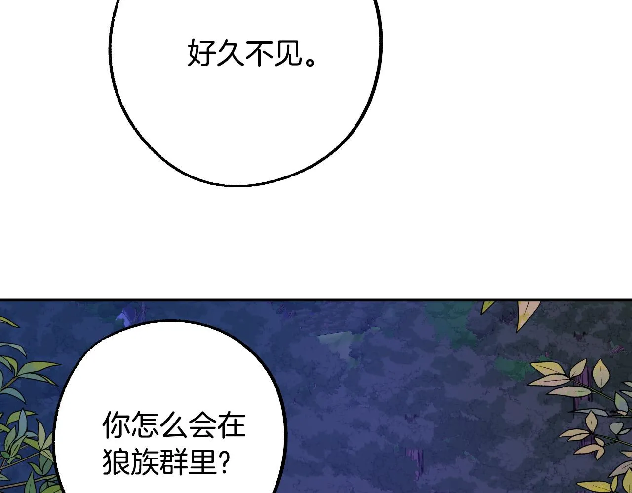 第45话 狼族出马 第50页