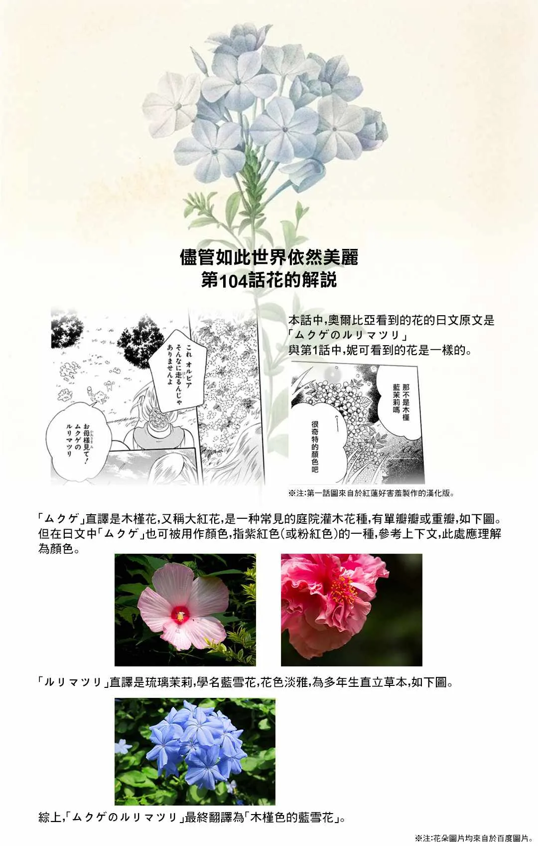 第104话 第31页