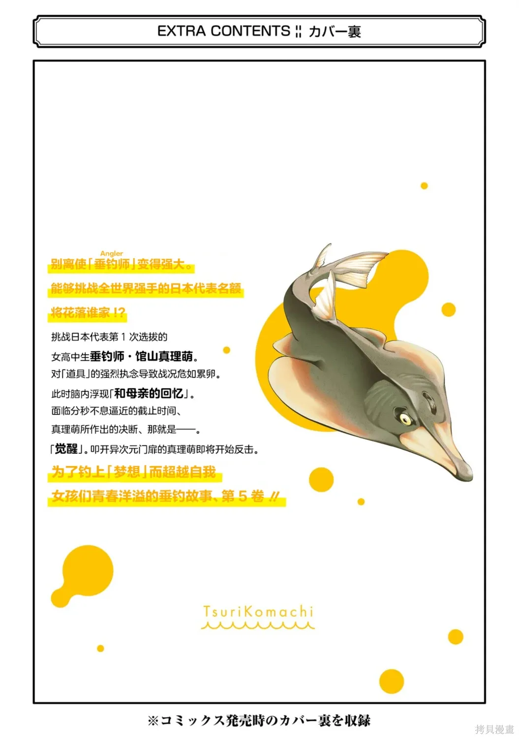 05卷加笔 第10页