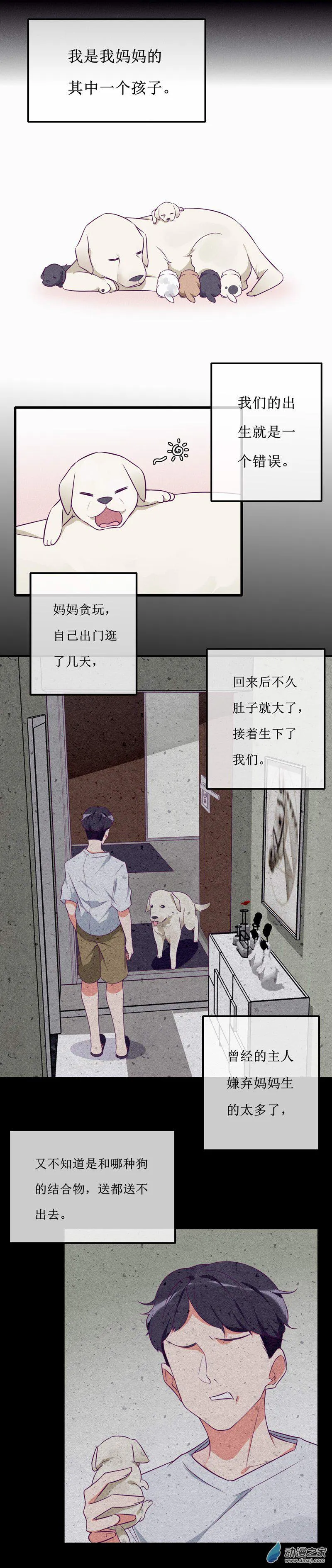 25 回首 第11页