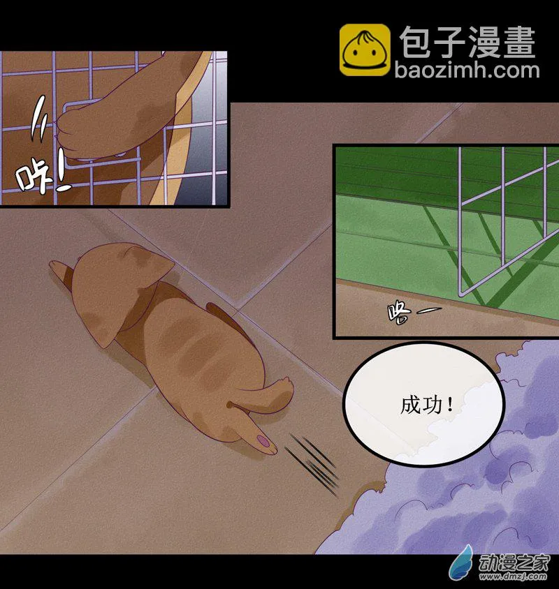 01 药水 第5页