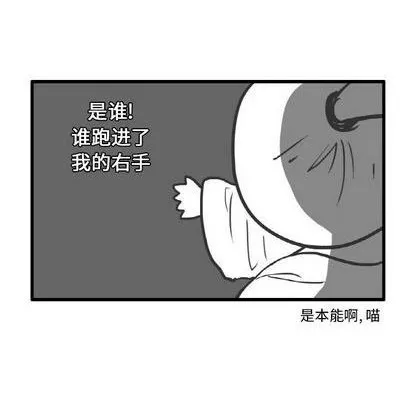 第8话 第10页