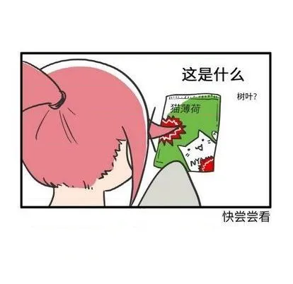 第10话 第10页