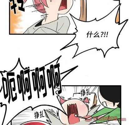 第25话 第29页