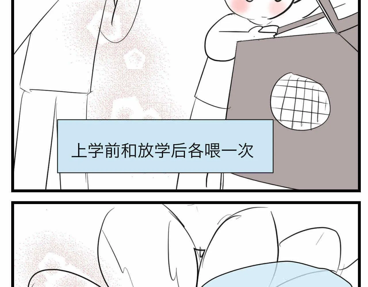 81.网红小鸡 第3页
