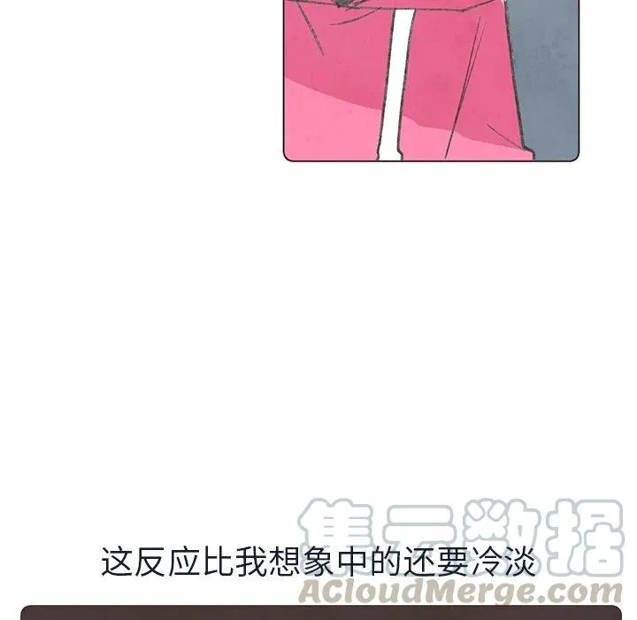 17 第31页