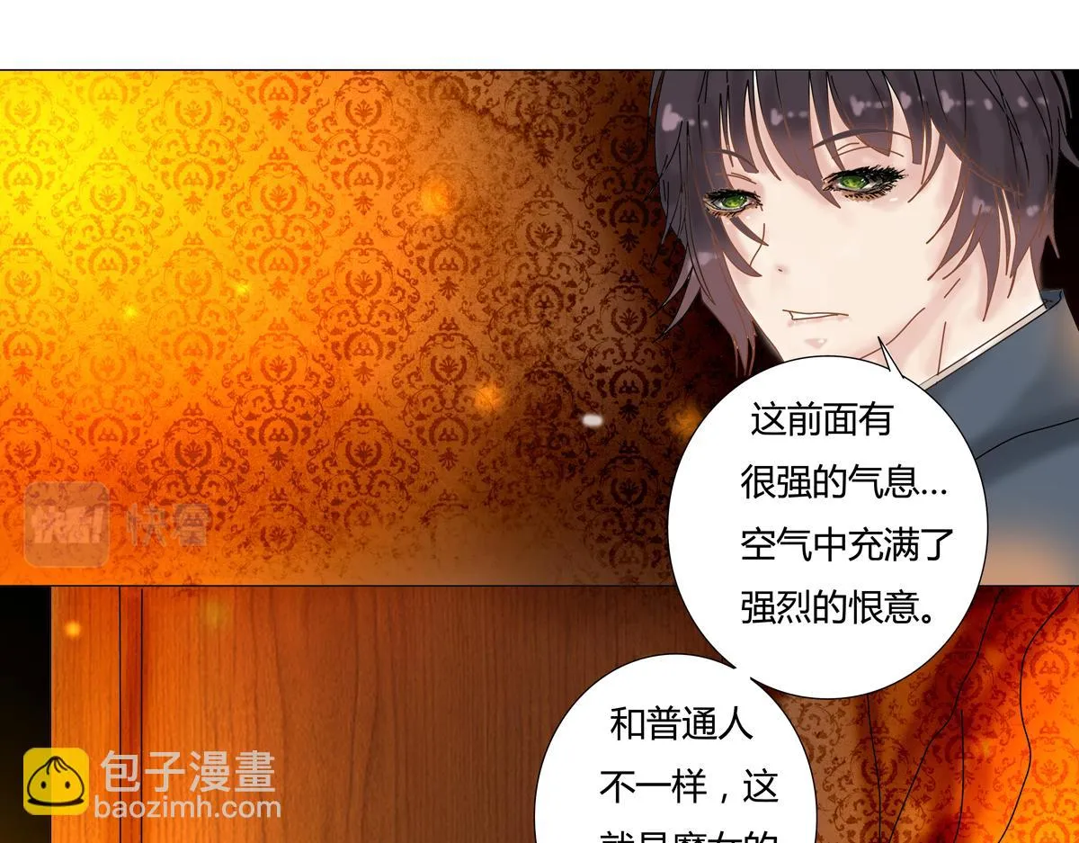 第五章 魔女的终结五 第8页