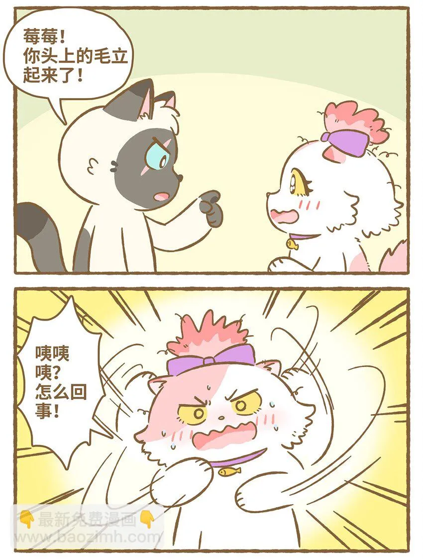 31 第31话 第3页
