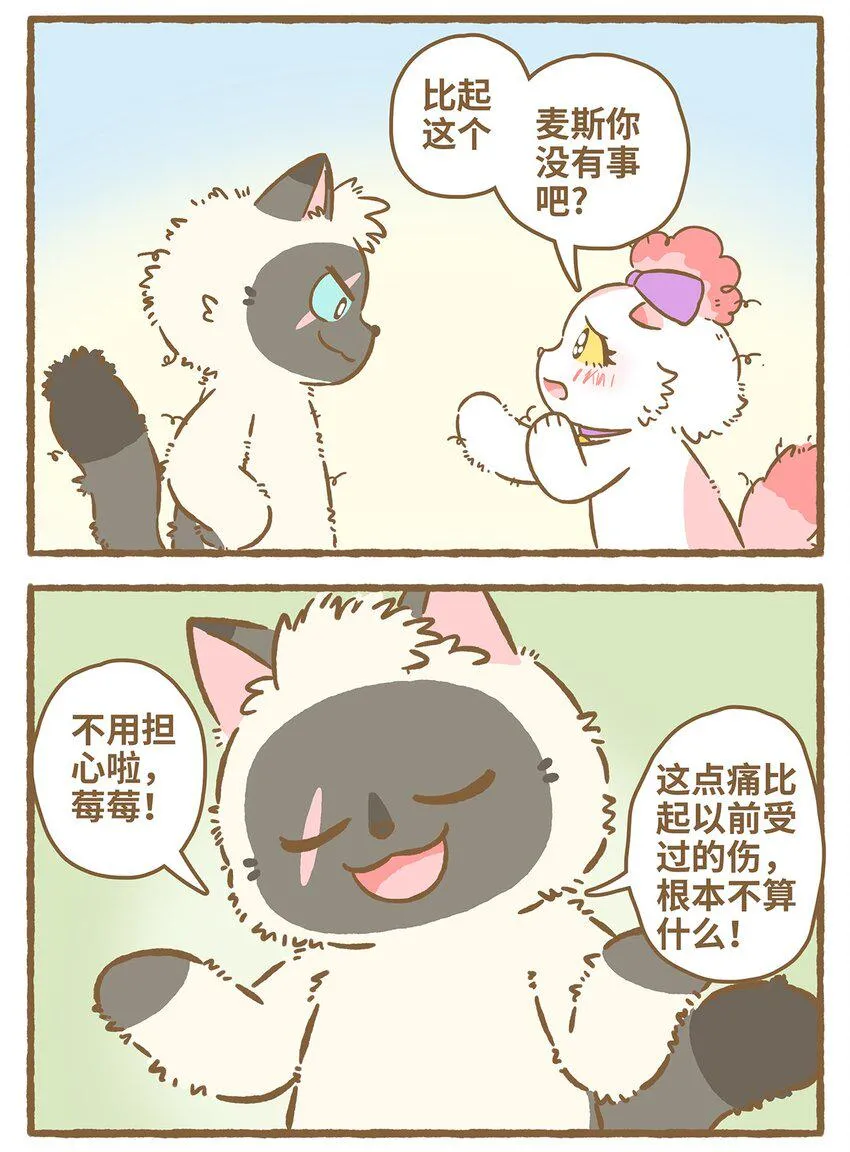 31 第31话 第13页