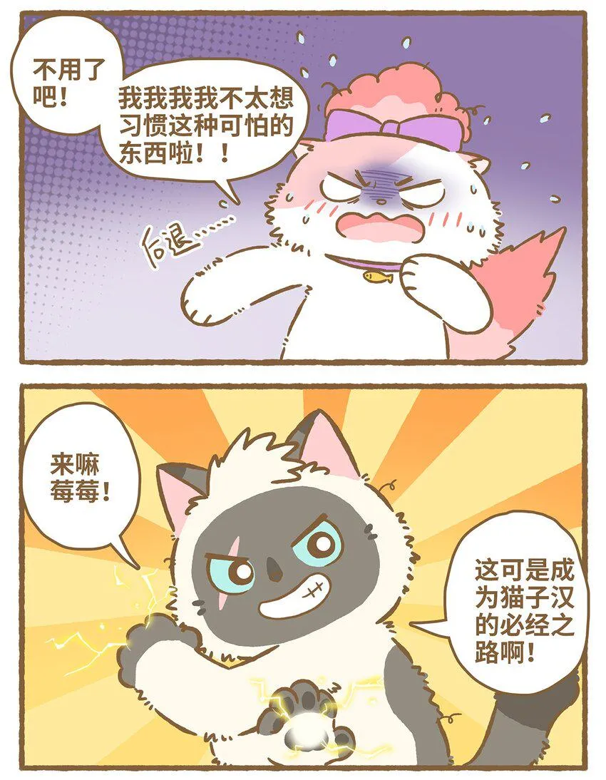 31 第31话 第17页