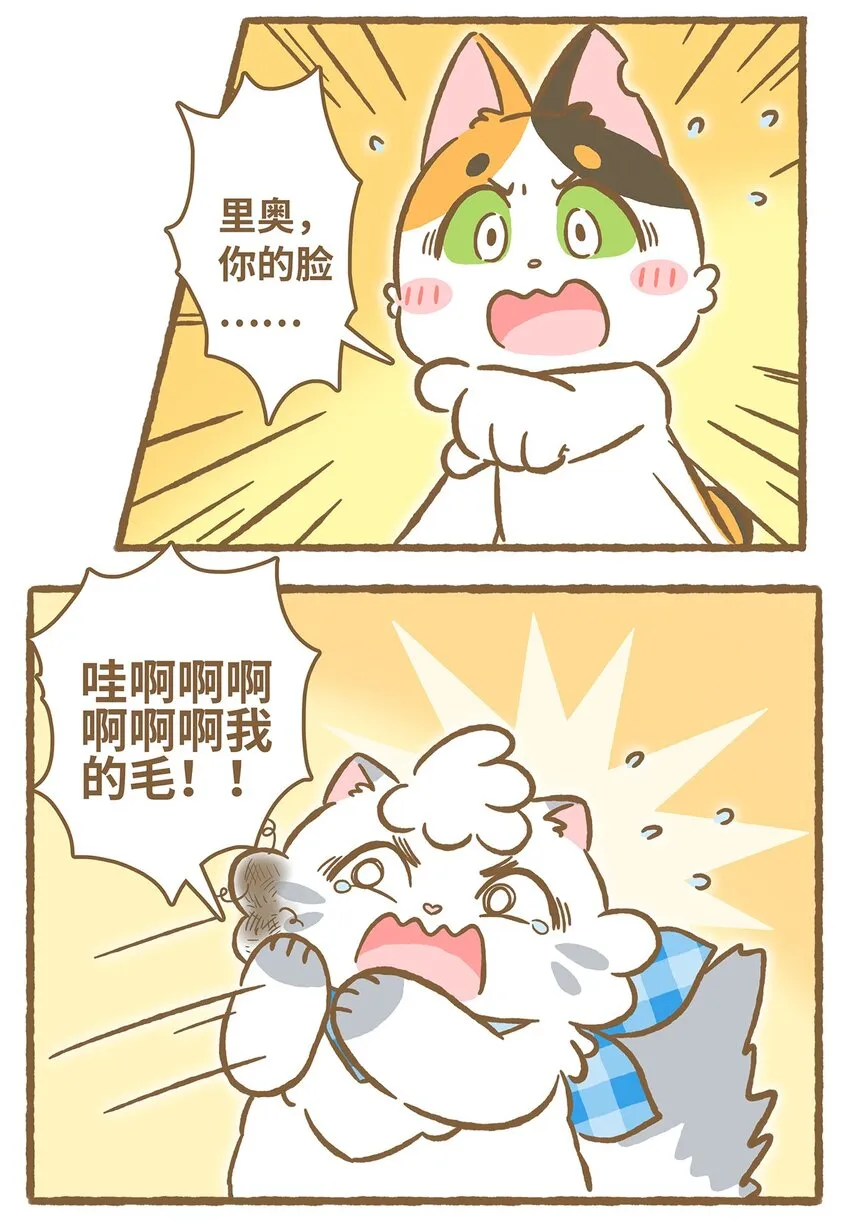 29 第29话 第12页
