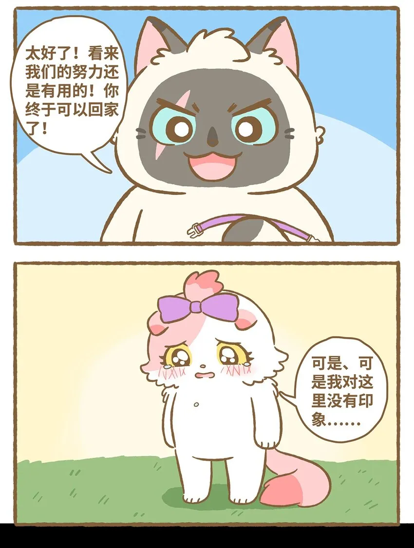 22 第22话 第4页
