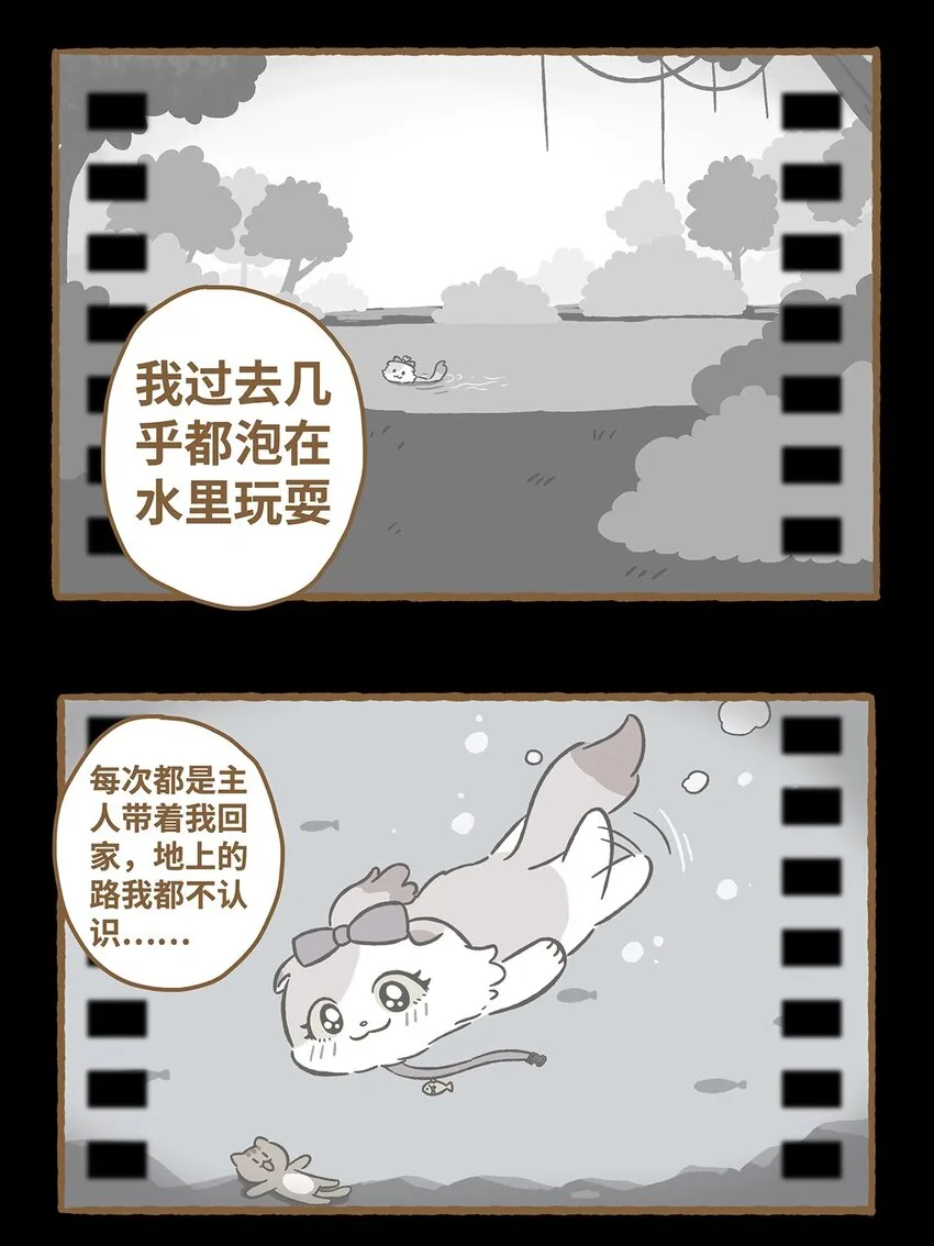 22 第22话 第5页