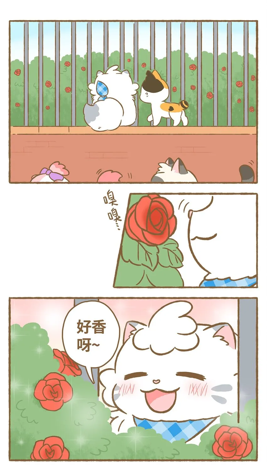 21 第21话 第2页