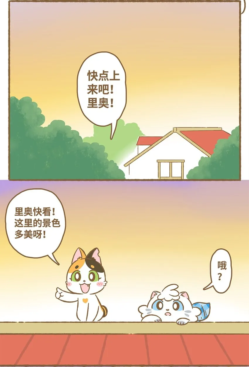 17 第17话 第3页