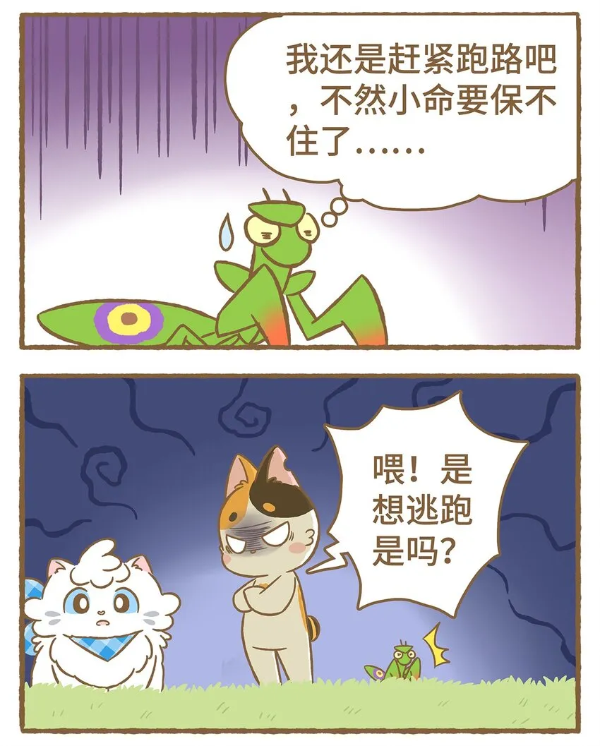 13 第13话 第5页