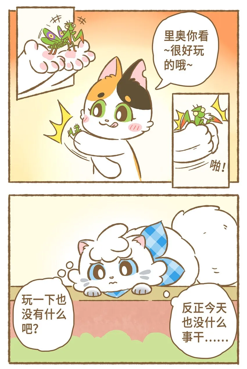 12 第12话 第5页