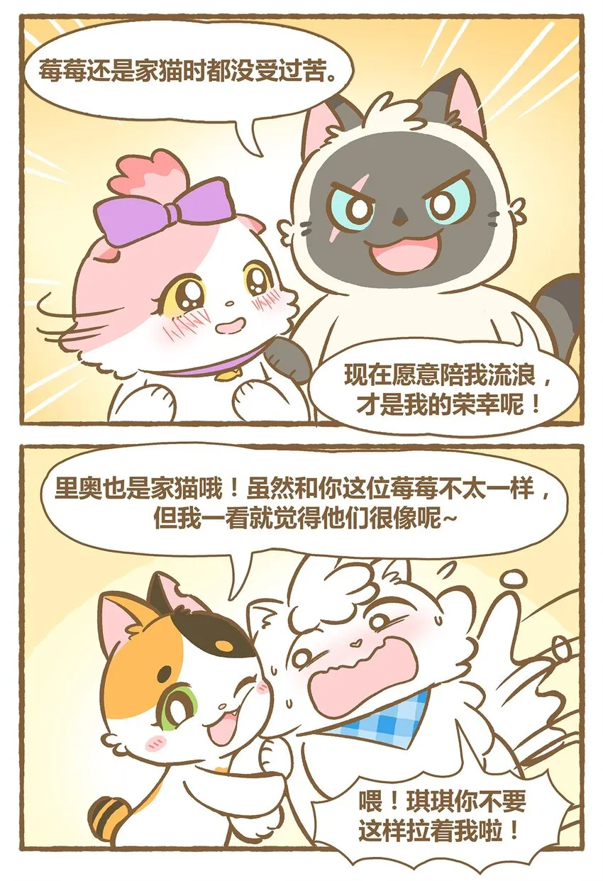 34 第34话 第5页