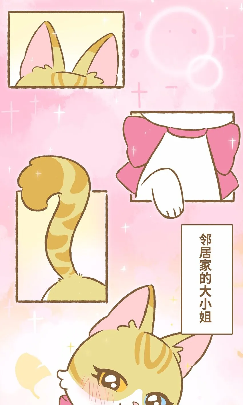 41 第41话 里奥的新朋友 第3页