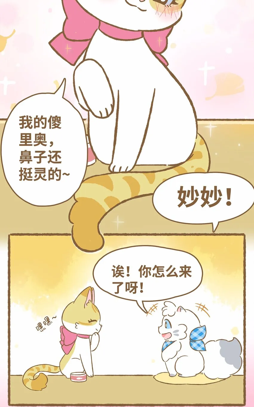 41 第41话 里奥的新朋友 第4页
