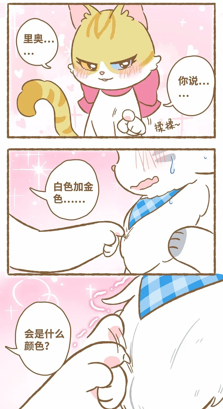 41 第41话 里奥的新朋友 第13页