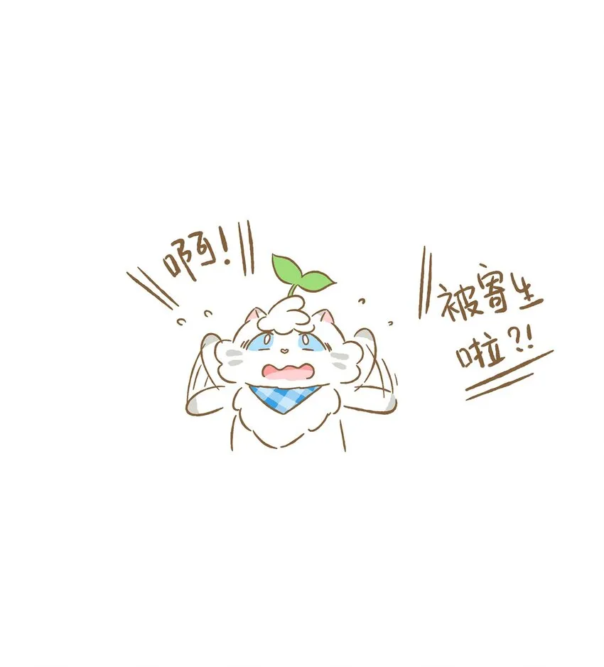 40 第40话 虫子？果子？ 第19页