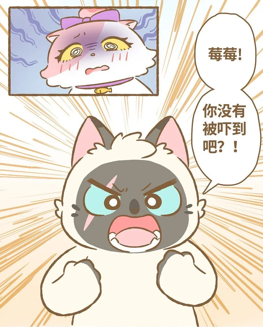 49 第49话 闪电 第13页