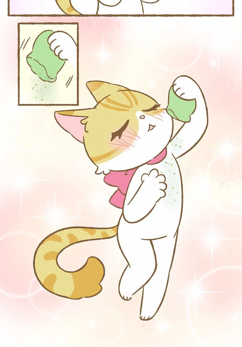 47 第47话 猫薄荷 第8页