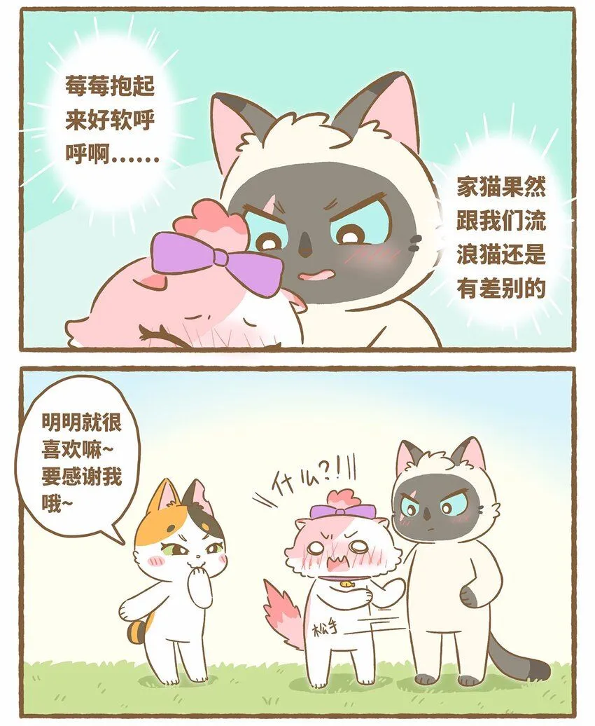 46 第46话 抱团取暖 第11页