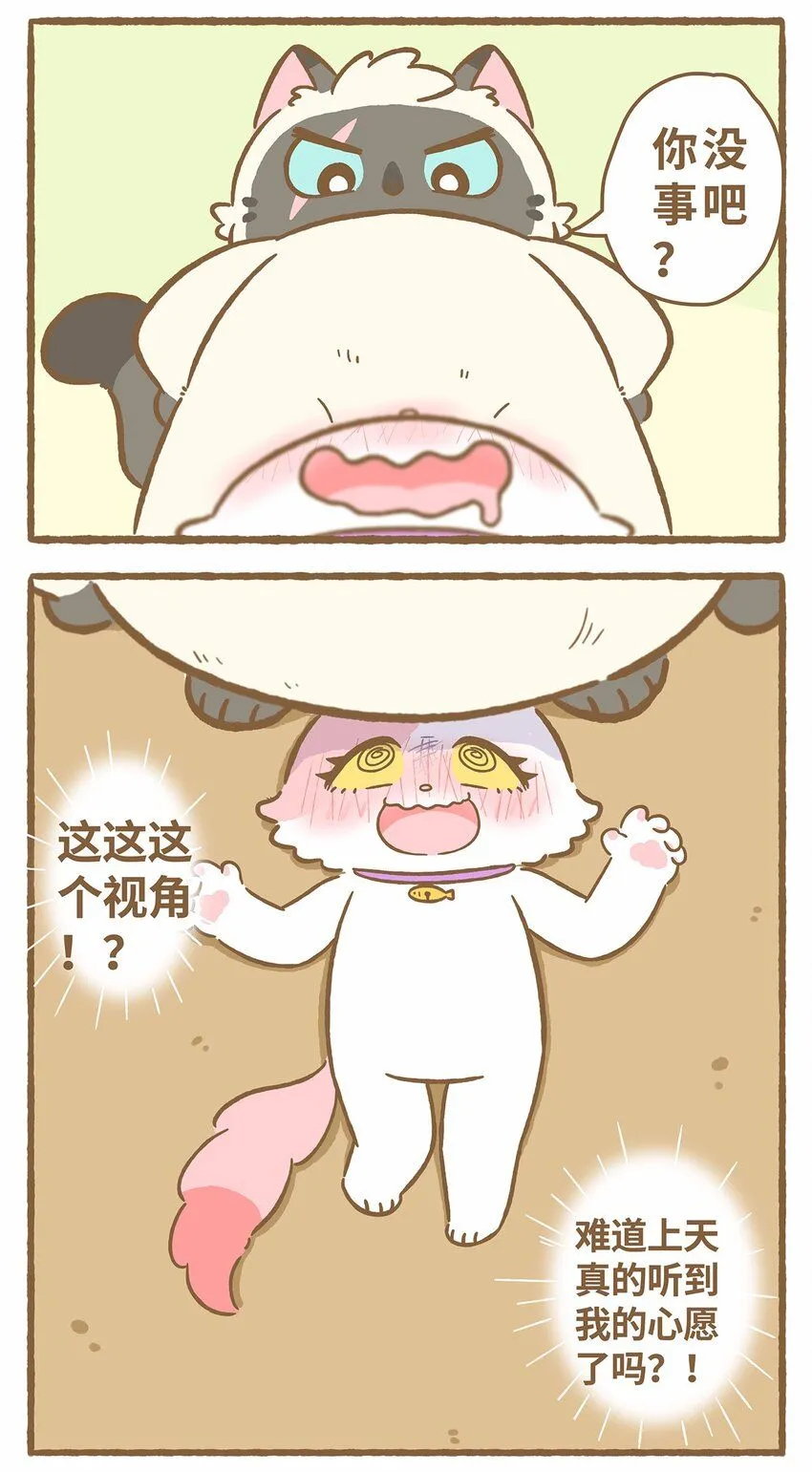 45 第45话 摔跤 第13页