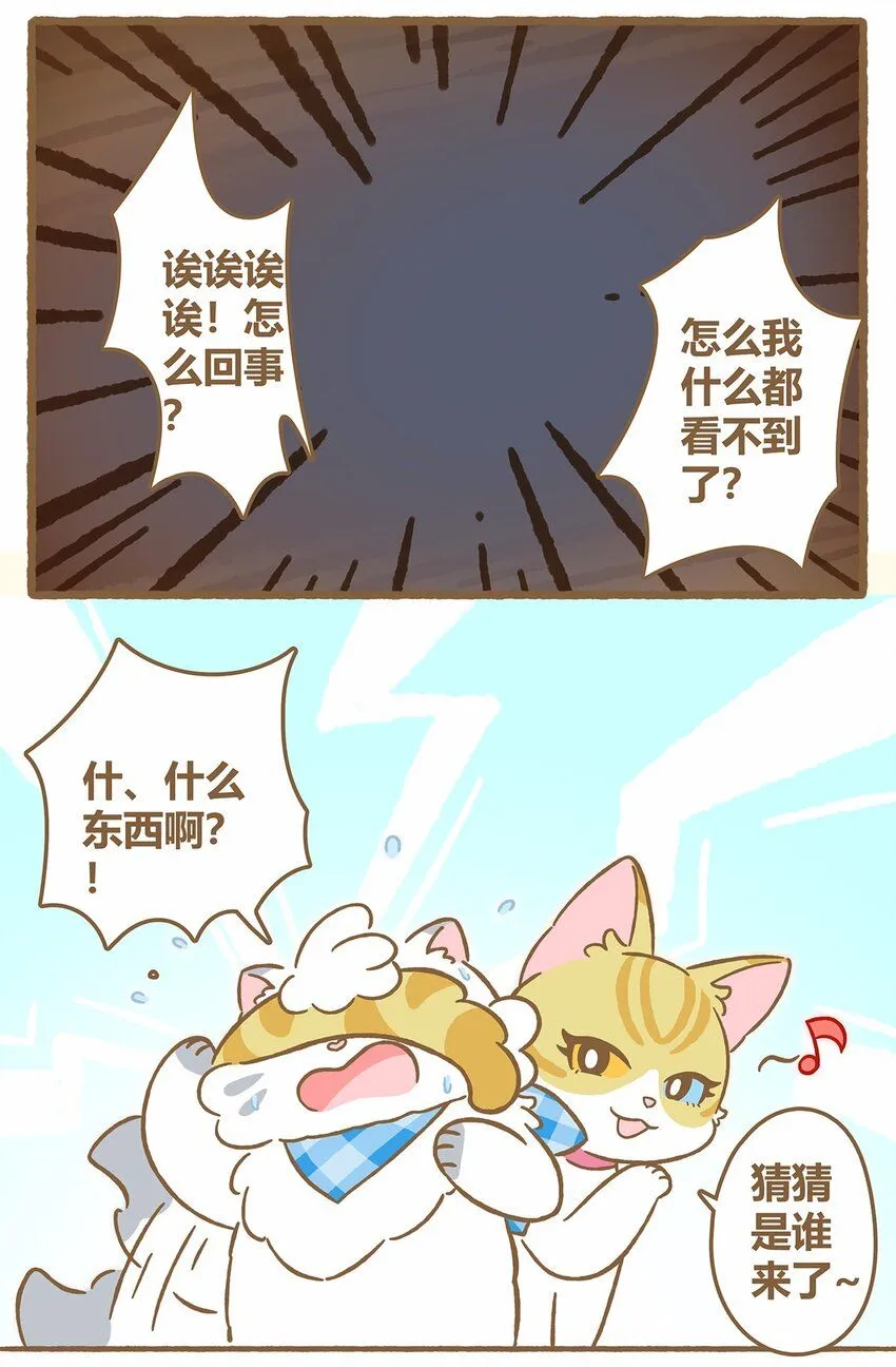 43 第43话 她的尾巴 第3页