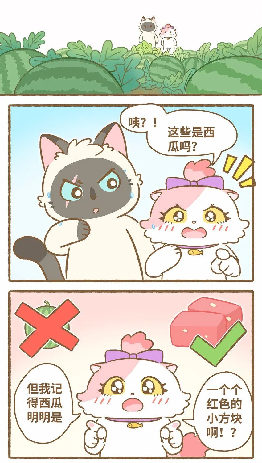 44 第44话 西瓜块VS西瓜汁 第3页